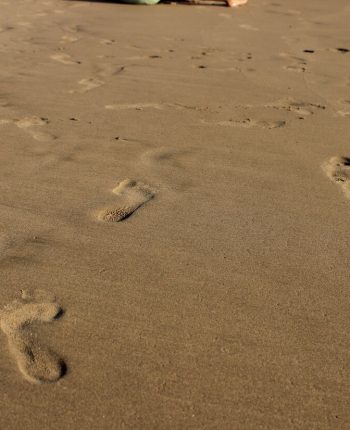 sandy footprints on a beach